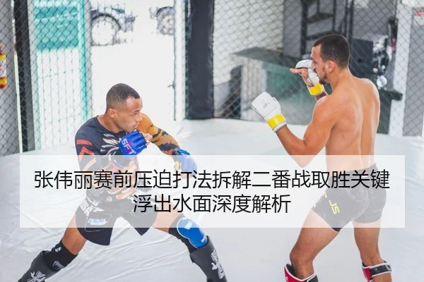 张伟丽赛前压迫打法拆解二番战取胜关键浮出水面深度解析