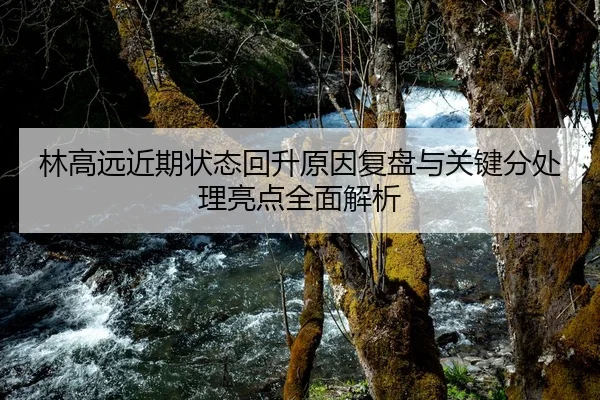林高远近期状态回升原因复盘与关键分处理亮点全面解析