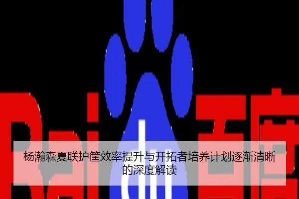 杨瀚森夏联护筐效率提升与开拓者培养计划逐渐清晰的深度解读